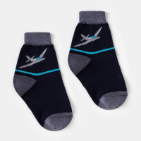   Collorista  , - 27-29 (18 )