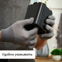   :   300  (12 .),  45 18 , , Greengo