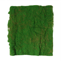  , ,  1 1 ,  , Greengo