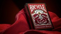  Bicycle Dragon