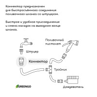 , 1/2 (12 ),  , -, , Greengo