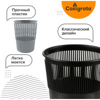      10 , alligrata " ", , , 