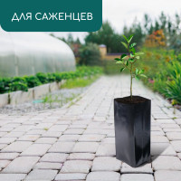   , 5 , 12 35 , ,  100 ,  , , Greengo