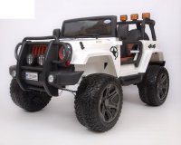  Jeep Wrangler555   (44).