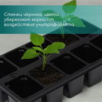    Greengo  10 ,  100 , , , 25 14 5 