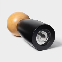    Magistro Ollander, 17 ,  