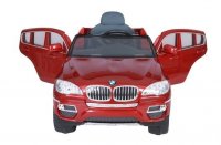  Barty Bmw-6   (  )