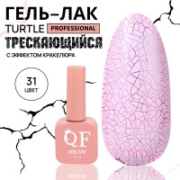    , ,   , , 10 , Led/uv,  (31)