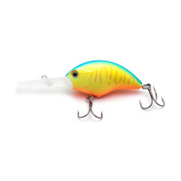  Namazu Hippocampus L-60 , 18 , , , 2.5 - 4.5 ,  7