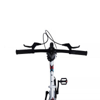  14 Maxiscoo S007 Pro,  