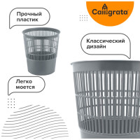      10 , alligrata " ", , , 