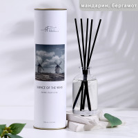  ,  "Silence Of The Wind", ,  100 