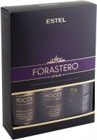  Ch/fn Chocolatier Forastero (, , -)