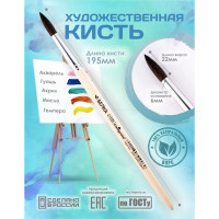   ,    6 (  6 ;   22 ),  , Calligrata