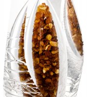 Gr-42/ 1 �����-�����