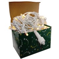 .  ()   , L 3, 100 . ...