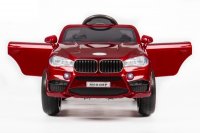  Barty Bmw X5 (m004mp)   ,  Eva (
