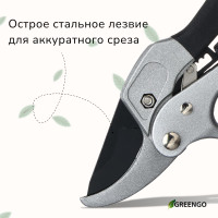  , 8 (20 ),   ,  , Greengo