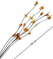 Df-02 ��������� ����������