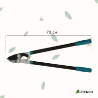 , , 31 (79 ), , Greengo