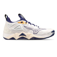    Mizuno Wave Momentum 3,  11 Us