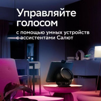   Sber A60 Sbdv-00115 E27 9 806lm Wi-fi (.:1) (sbdv-00115)