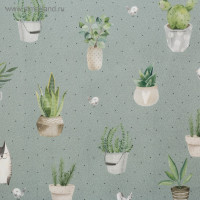 ������ ����� ���������� 70 60 ��, 100% ������, ����� 190 �/� 