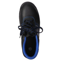    Prosafe Basic 13,  ,  41