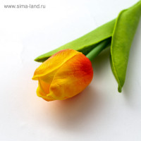 ����� ������, ���������, ����� �����, 1.0 �� �8 �����:�������� ����