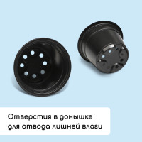   :   500  (8 .),  40   20 , , Greengo