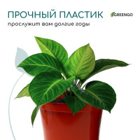   , 5 , D=22 , H=18 , , , Greengo