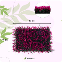  , 60   40 ,  , Greengo
