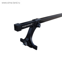  ""  /  2108-21099, 2114, 2115 L=120, 2528