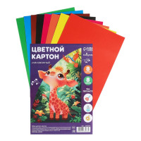   4, 8 , 8 , Calligrata,  240 /2,  