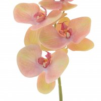 ������ ������������� �������, L13 W10 H75 ��, 4�.