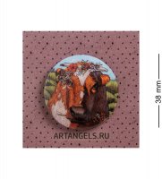 Ang-1008    , , !