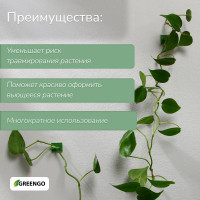    , , D=9 ,  , Greengo