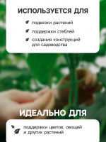    , 50 , , , Greengo