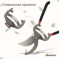  , 10 (25 ),    , Greengo