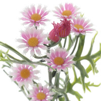 ������ �������������, L12 W12 H67 ��