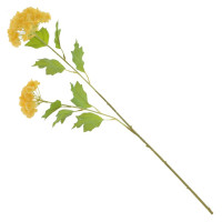 ������ ������������� ���������, L19 W12 H67 ��