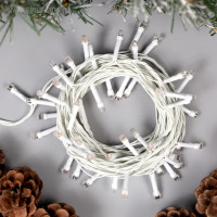   5 , Ip20,  , 50 Led, 8 , 220 ,  