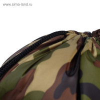    420  340 , Calligrata "", ( ,  210 D),  