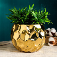      , 2.5 , 19 19 16 , , 