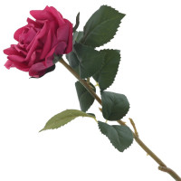   , L12 W11 H51 