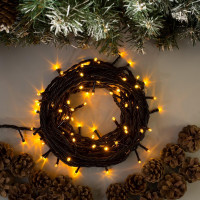   10 , Ip44, ,  , 100 Led,  , 220 