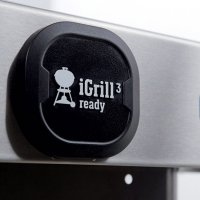   Weber Genesis Ii E-310 Gbs, 