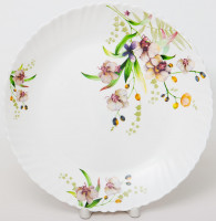   2    24   2  Olaff  , , 