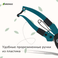  , 7 (18 ),   , Greengo