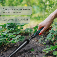 ,  48.5 ,     , Greengo